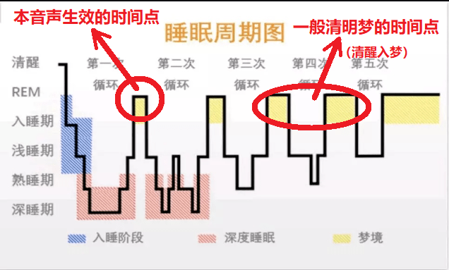 睡眠周期示意图